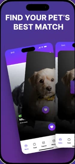 Paw Play Love screen: Find your pet's best match, with swipeable dog profiles