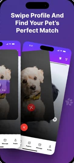 Paw Play Love swipe screen for liking or passing on a pet profile